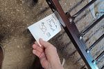 Sale Photo Thumbnail #19