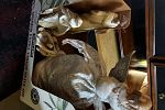 Sale Photo Thumbnail #6