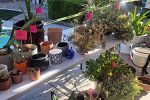Sale Photo Thumbnail #25