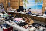 Sale Photo Thumbnail #10