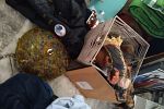 Sale Photo Thumbnail #11