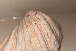 Sale Photo Thumbnail #27