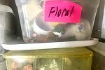 Sale Photo Thumbnail #10