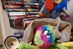 Sale Photo Thumbnail #4