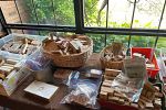 Sale Photo Thumbnail #24