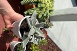 Sale Photo Thumbnail #22