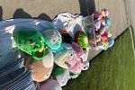 Sale Photo Thumbnail #17