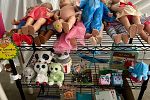Sale Photo Thumbnail #13