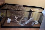 Sale Photo Thumbnail #27