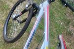 Sale Photo Thumbnail #4