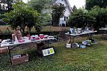 Sale Photo Thumbnail #10