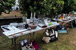 Sale Photo Thumbnail #11