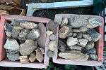 Sale Photo Thumbnail #18
