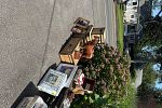 Sale Photo Thumbnail #2