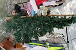 Sale Photo Thumbnail #16