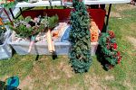 Sale Photo Thumbnail #26