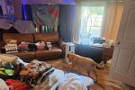 Sale Photo Thumbnail #18