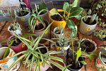 Sale Photo Thumbnail #32