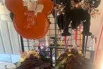 Sale Photo Thumbnail #8