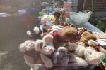 Sale Photo Thumbnail #11