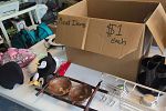 Sale Photo Thumbnail #13