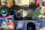 Sale Photo Thumbnail #4
