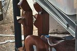 Sale Photo Thumbnail #25