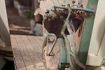 Sale Photo Thumbnail #25
