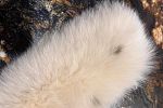 Sale Photo Thumbnail #42