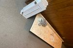 Sale Photo Thumbnail #17