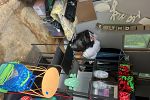 Sale Photo Thumbnail #12