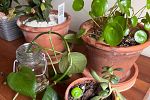 Sale Photo Thumbnail #30