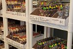Sale Photo Thumbnail #30