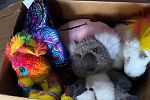 Sale Photo Thumbnail #11