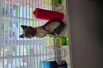 Sale Photo Thumbnail #13