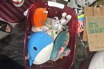 Sale Photo Thumbnail #6