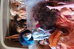Sale Photo Thumbnail #16