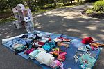Sale Photo Thumbnail #4