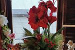 Sale Photo Thumbnail #16