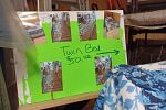 Sale Photo Thumbnail #38