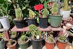 Sale Photo Thumbnail #55