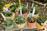 Sale Photo Thumbnail #56