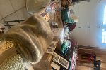 Sale Photo Thumbnail #6