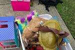 Sale Photo Thumbnail #6