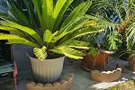 Sale Photo Thumbnail #33