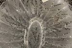 Sale Photo Thumbnail #19
