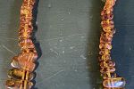 Sale Photo Thumbnail #23