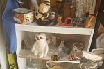 Sale Photo Thumbnail #5