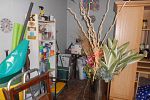 Sale Photo Thumbnail #35