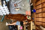 Sale Photo Thumbnail #4